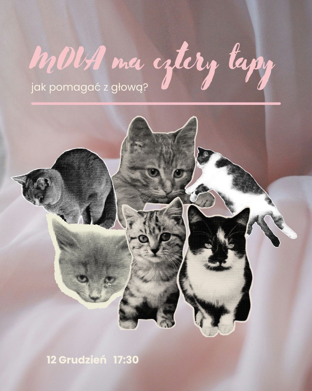 MOVA ma cztery łapy – jak&nbsp;pomagać&nbsp;z&nbsp;głową?